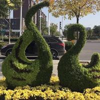 鿴ͼ
