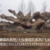 鿴ͼ