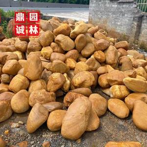 鿴ͼ